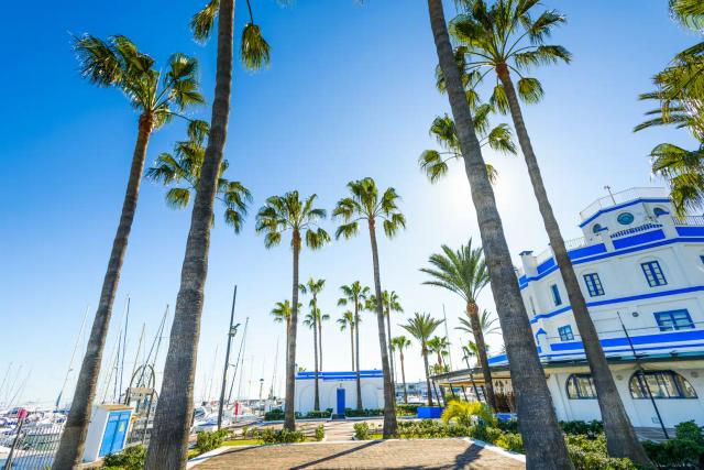 Estepona city image