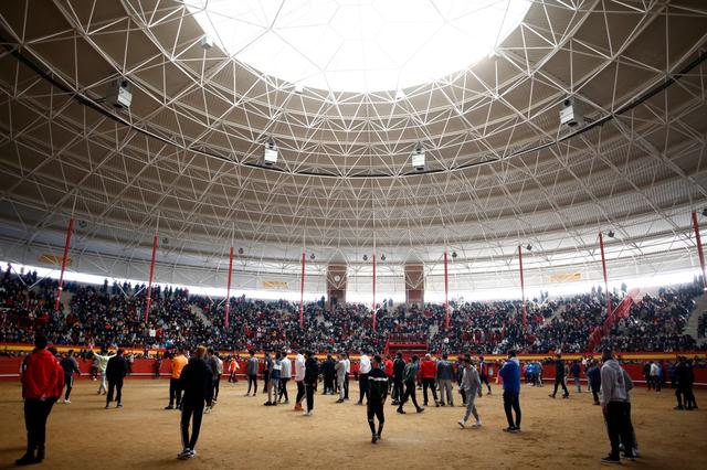 Plaza de Toros de Valdemorillo - La Candelaria