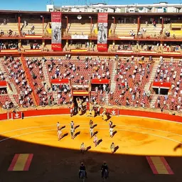 Plaza de Toros de Córdoba "Los Califas"