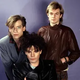 Alphaville's profile