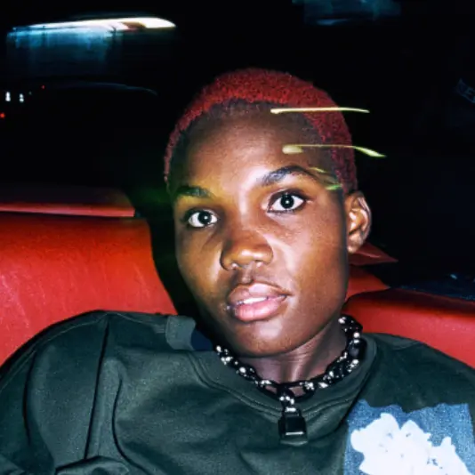 Arlo Parks - Desire Tour
