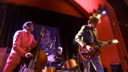 The Sadies
