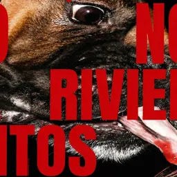 Parquesvr - Mitos y Leyendas