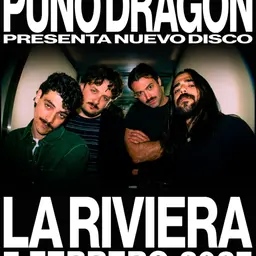Puño Dragón