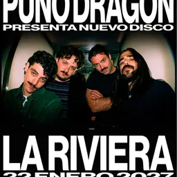 Puño Dragón