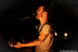 Damien Rice's profile